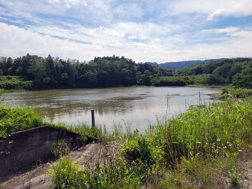 古堤ため池施工前