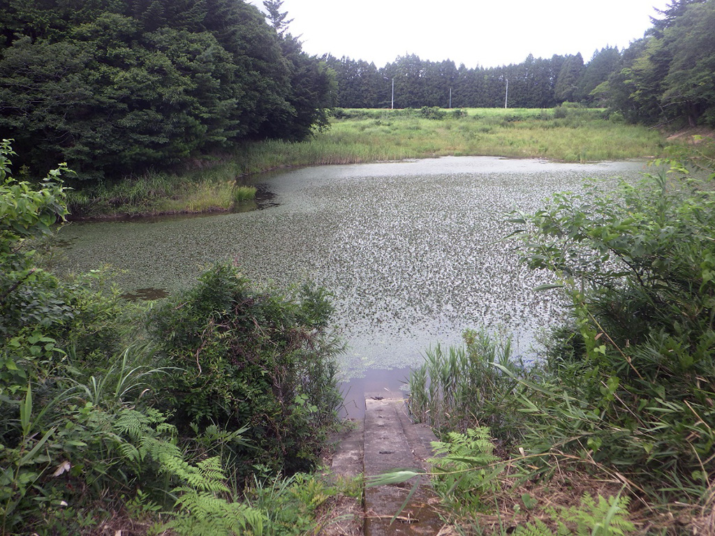 堤上第２ため池　施工前