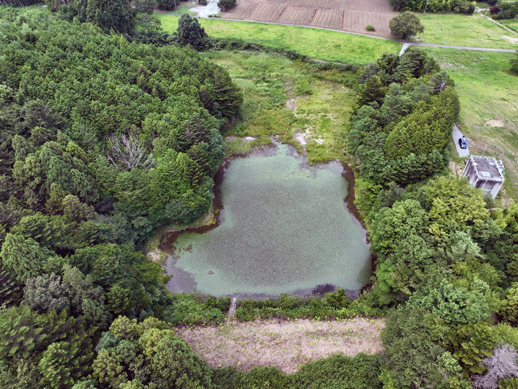 堤上第２ため池　施工前